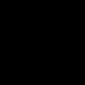 Meet your Posher, Abigail